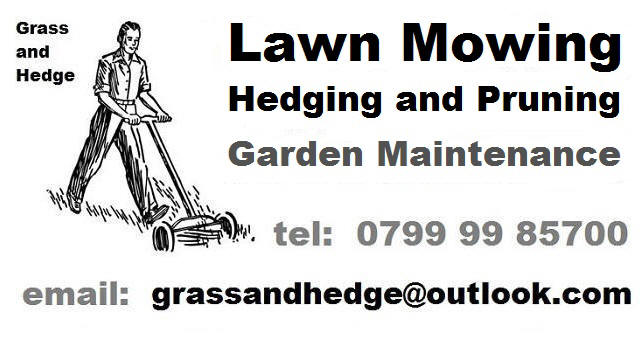 grass mowing hedge trimming service langport